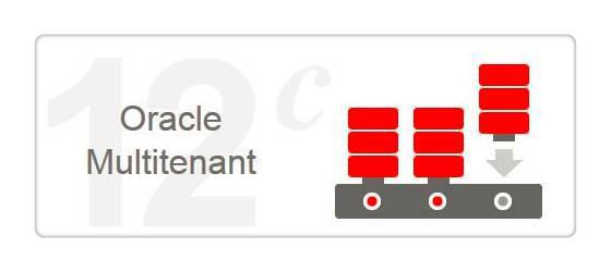 Oracle Database 12c 第 2 版的云优先战略_Java_04