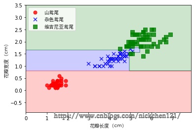 02-26 决策树(鸢尾花分类)_决策树