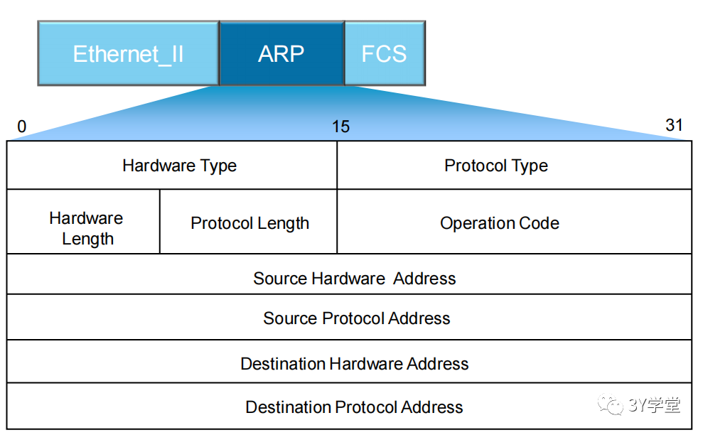 地址解析协议ARP_交换机、arp、网络_05
