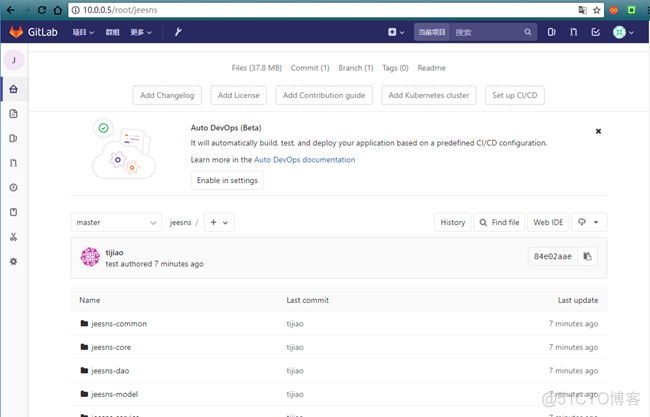 Gitlab安装部署及基础操作_Gitlab_12