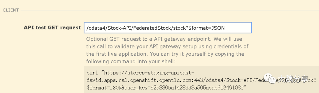 技术派：谁说API网关只能集成REST APIs？_java_35