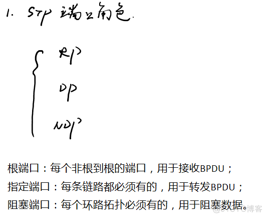 快速生成树RTSP_快速生成树_02