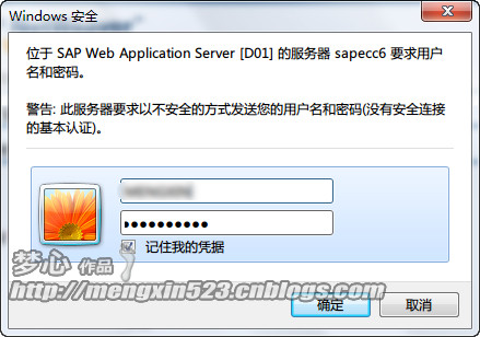 SAP GUI FOR HTML登陆_SAP_09