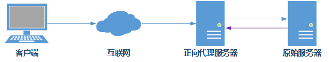 010.Nginx正反代理_Nginx_06