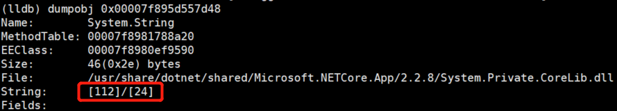 .NET Core dump 分析_java_09