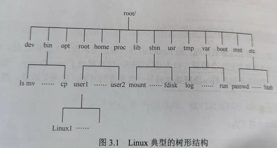 二、Linux文件系统结构_Linux