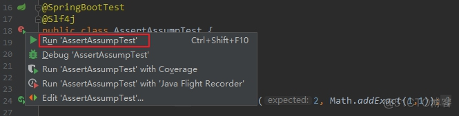 JUnit5学习之二：Assumptions类_JUnit5_03