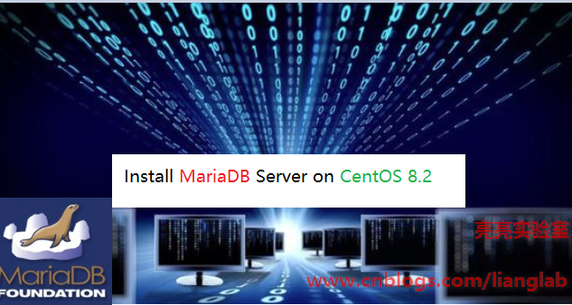 CentOS 8.2部署MariaDB 10.5.3数据库服务_数据库服务