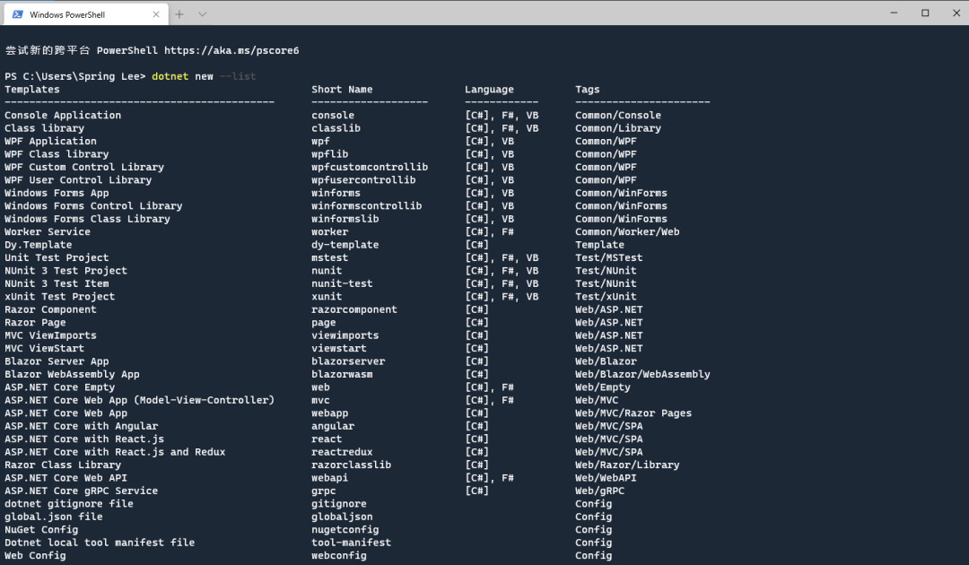 使用 .NET CLI 构建项目脚手架_java_02