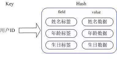 Redis五种数据结构_java