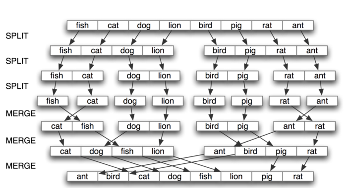 Insertion Sort and Merge Sort_i++