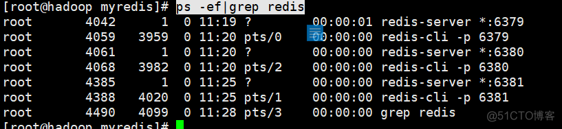 redis主从复制_redis_16