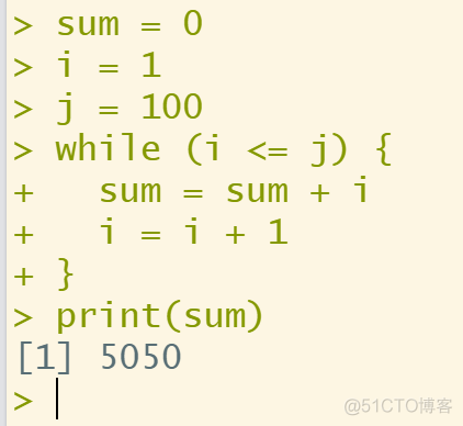 R语言中for循环和while循环求1-100的和_for循环_05