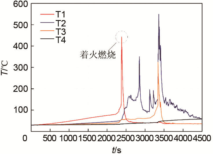 加热引发三元18650型锂离子电池组的燃烧特性_java_08