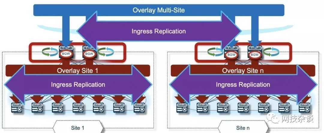 VXLAN篇之终章：Multi-Site_java_07