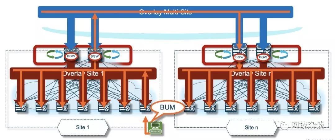 VXLAN篇之终章：Multi-Site_java_04