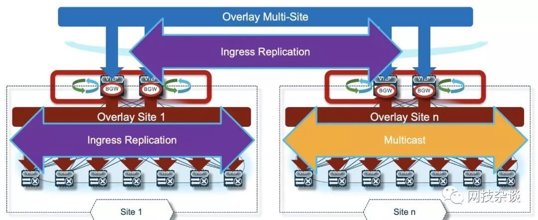 VXLAN篇之终章：Multi-Site_java_09