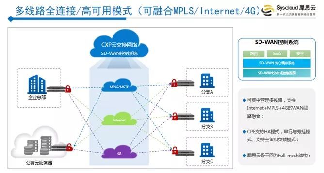 犀思云杨华伟：DT数据时代企业网变革的SD-WAN解决方案_java_04