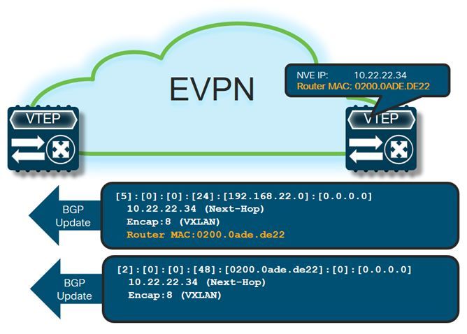 利用GoBGP和Cisco NXOSv学习VXLAN EVPN_java_20