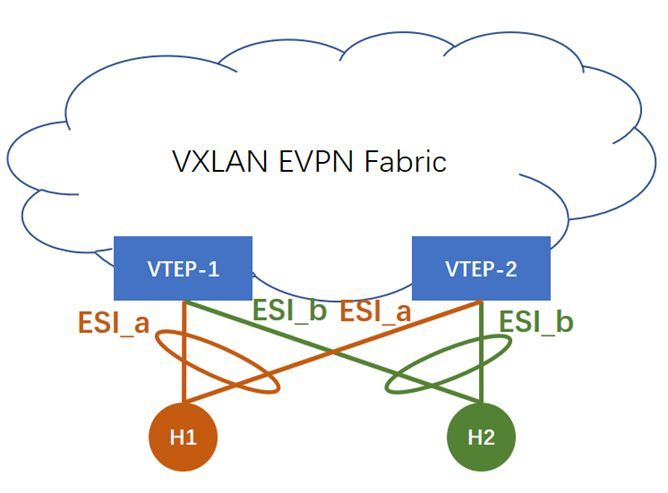 利用GoBGP和Cisco NXOSv学习VXLAN EVPN_java_13