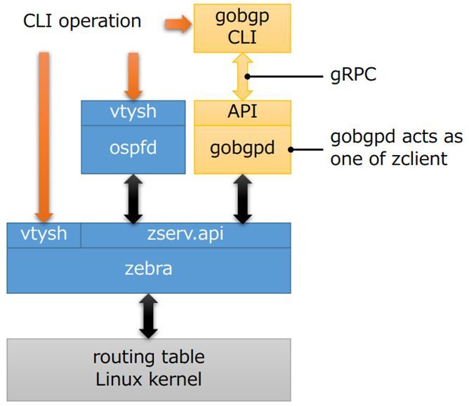 利用GoBGP和Cisco NXOSv学习VXLAN EVPN_java_03