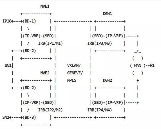 利用GoBGP和Cisco NXOSv学习VXLAN EVPN_java_17