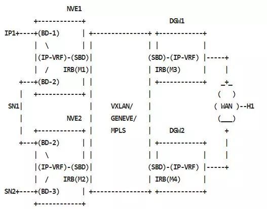 利用GoBGP和Cisco NXOSv学习VXLAN EVPN_java_19