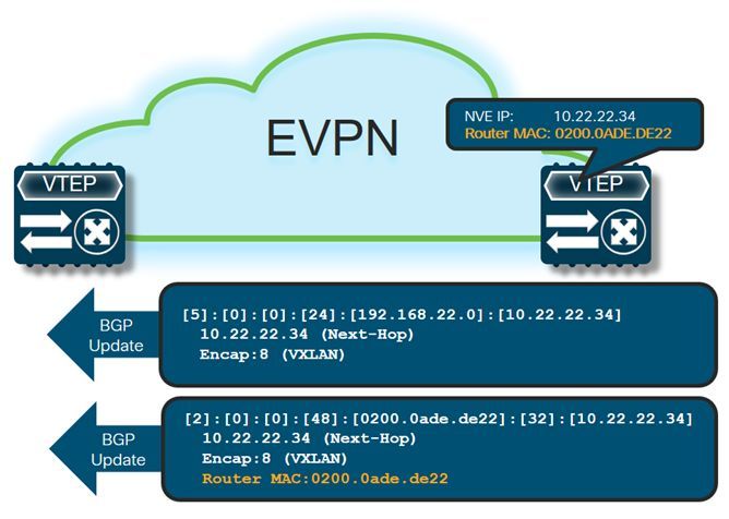 利用GoBGP和Cisco NXOSv学习VXLAN EVPN_java_18