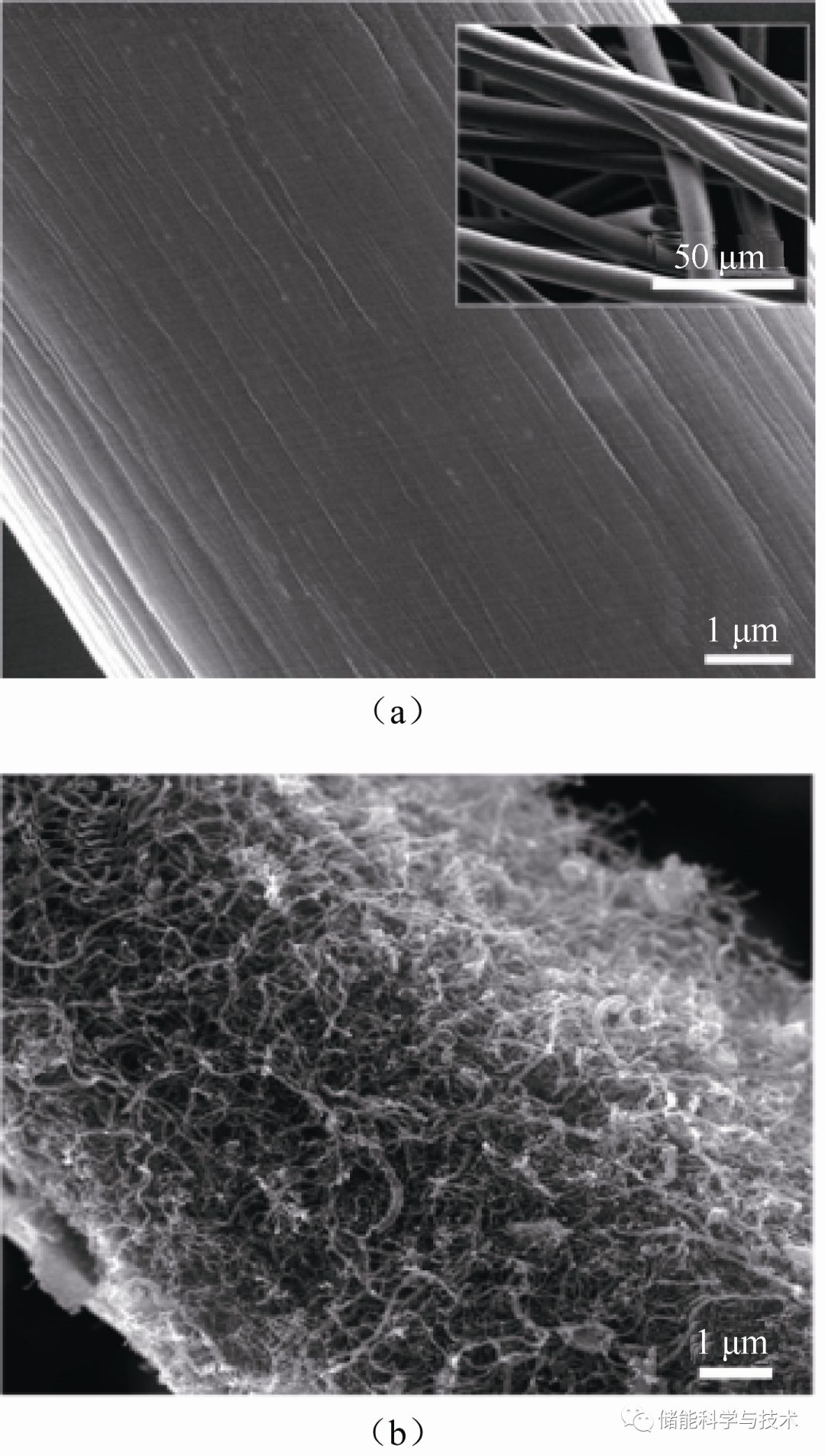 碳纳米管扫描电镜图片图片