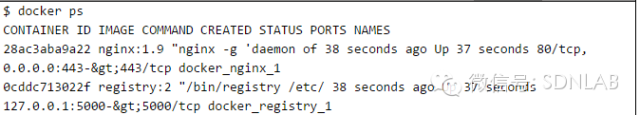 SSL及Nginx代理搭建环境的Docker仓库_java_03