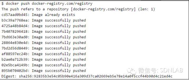 SSL及Nginx代理搭建环境的Docker仓库_java_06