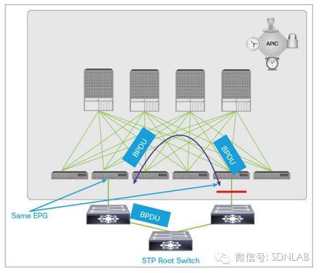 SDN实战团分享（二十七）：Cisco ACI技术解析_java_06