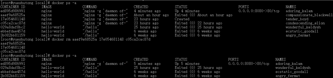 Docker极简教程【初识】_Java_12