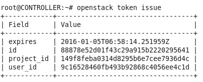 一文读懂OpenStack Glance是什么_java_08