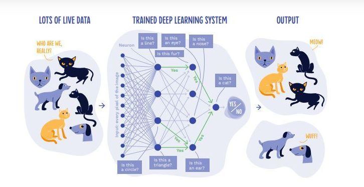 快速指南：了解“深度学习”的炒作_java