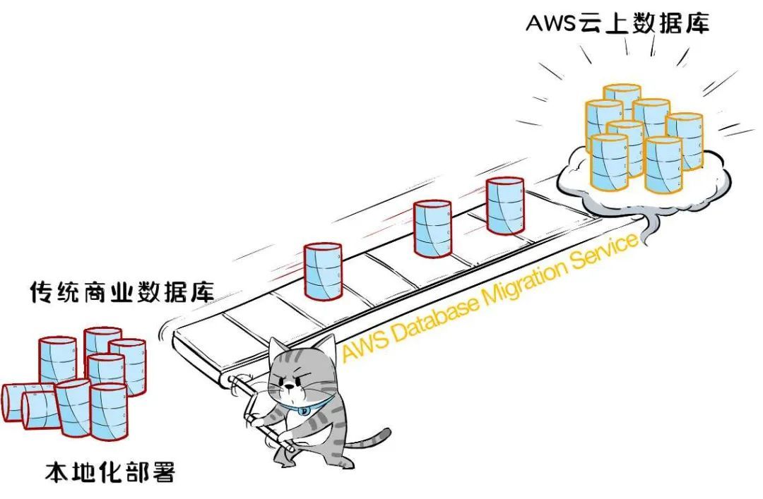 数据库库库库库库库库！_java_19