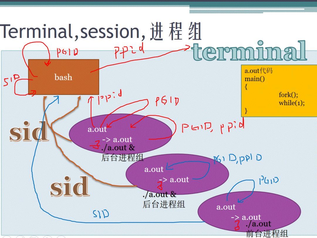 宋宝华： 一图理解终端、会话、 进程组、进程关系_Linux_02