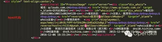 利用Python实现域名查询和whois查询_java_04