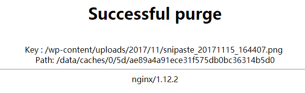 Nginx自建CDN以及ngx_cache_purge清除缓存_CDN_03