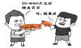 SD-WAN大餐：厨子博弈，食客看戏