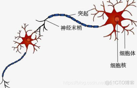 R语言中的BP神经网络模型分析学生成绩_R语言开发