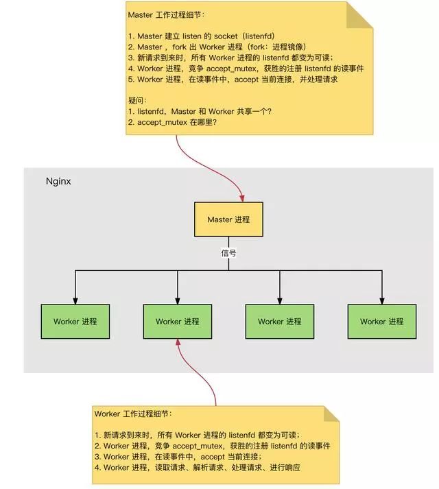 Nginx 为什么快到停不下来？_Linux_02