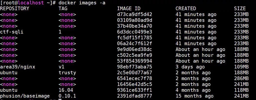 Docker学习笔记(2)_java_13