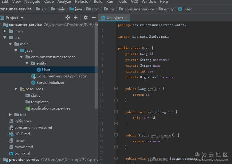 SpringCloud微服务2-服务提供者和消费者_Java开发_17