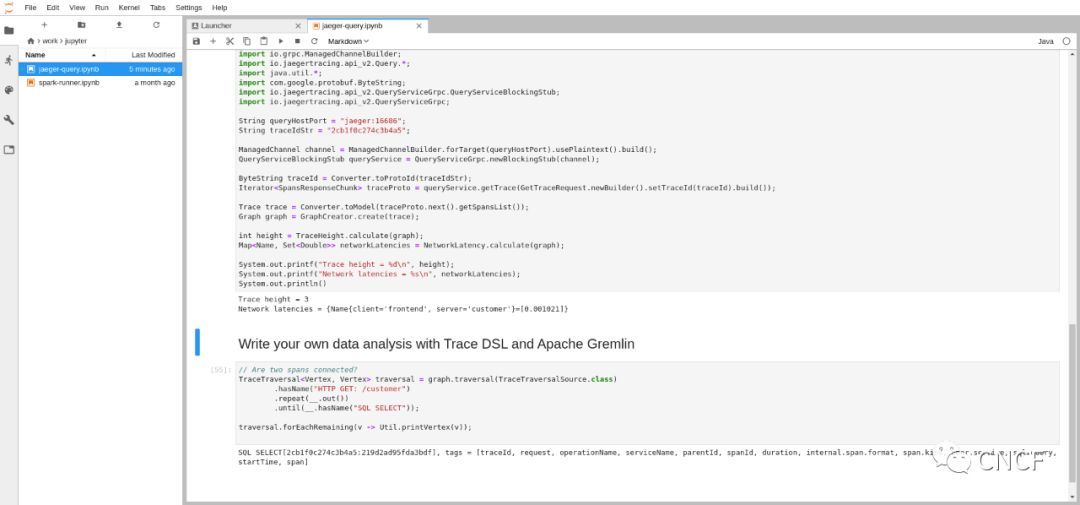 用Jupyter笔记本做Jaeger数据分析_java_05
