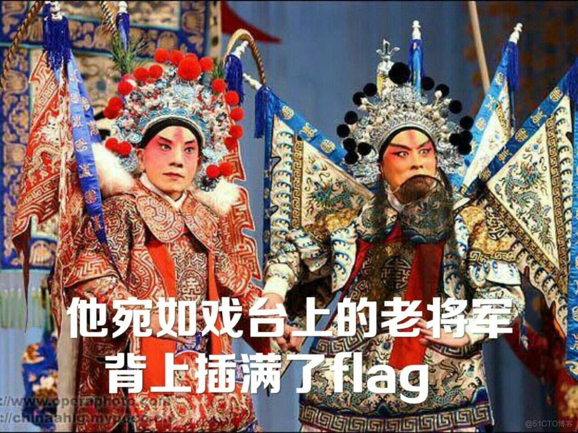 程序员十大热门flag，有你的吗？_程序员_06