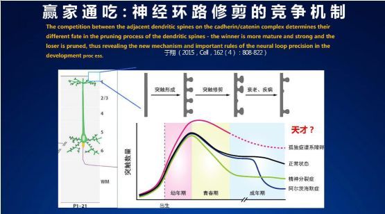 独家 | 中国科学院郭爱克院士：人类大脑在整体上是怎样工作的？_java_12