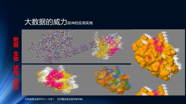 【独家】基于大数据的人体组织微结构的解析与构建_java_16