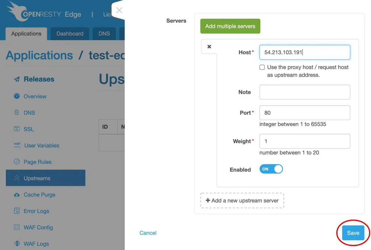 Set up a Simplest Reverse Proxy and Load Balancer_java_22