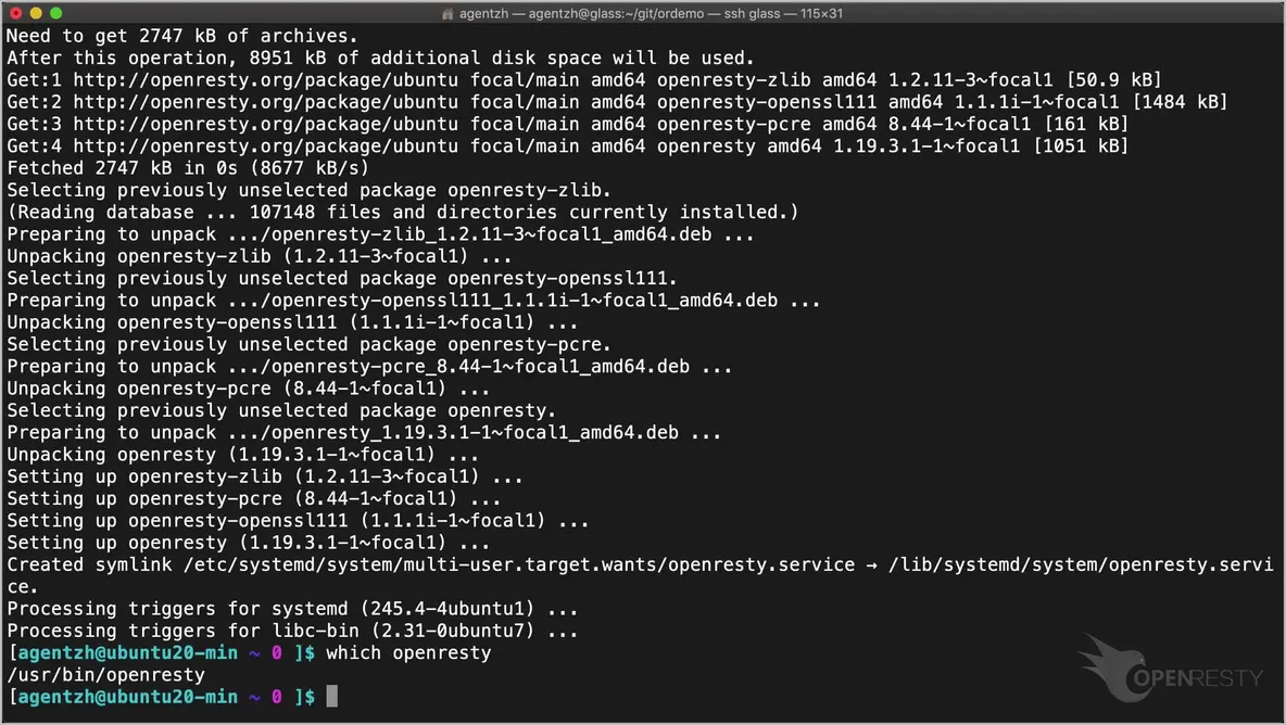 Install OpenResty on Ubuntu 20.04 via apt-get_java_11